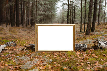 White billboard in the autumn forestの写真素材