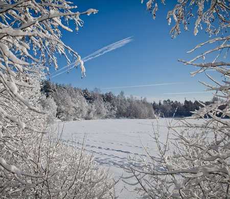 Frozen lake in the winter forestの写真素材