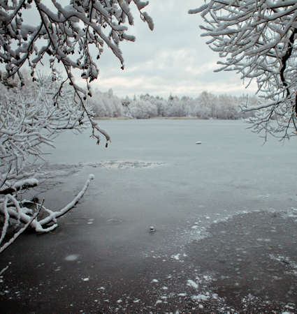 Frozen lake in the winter forestの写真素材