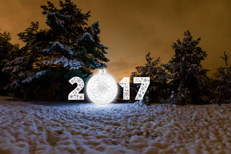 2017 New Year greeting card with night forest and fool moonの写真素材