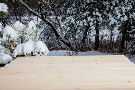 White wooden background made of planks in the winter pine forestの写真素材