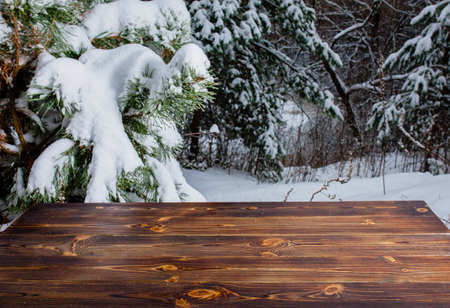 Wooden table in the winter pine forestの写真素材