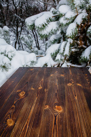 Wooden table in the winter pine forestの写真素材