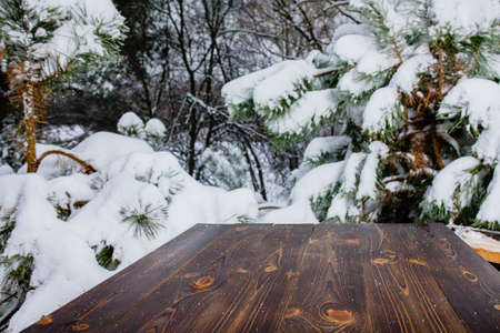 Wooden table in the winter pine forestの写真素材