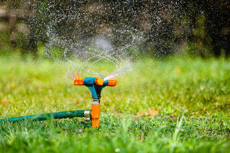 Garden sprinkler watering grassの写真素材
