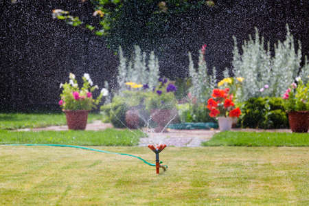 Garden sprinkler watering grass and flowersの写真素材