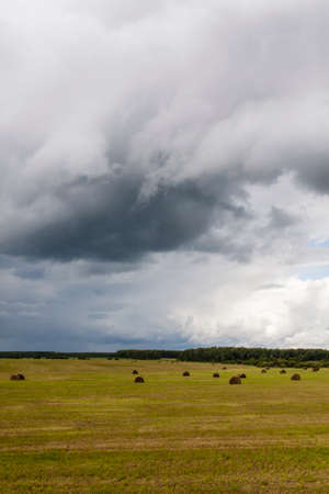 Straw bales in a fieldの写真素材
