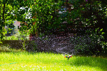 Garden sprinkler watering grassの写真素材