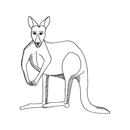 hand draw a kangaroo-style sketch for registration cards, textiles, coloring, tattoo whiteのイラスト素材