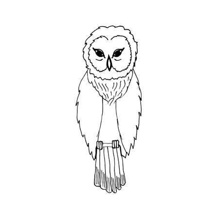 hand draw an owl in the style of the sketch to design cards, textiles, coloring, tattoo whiteのイラスト素材