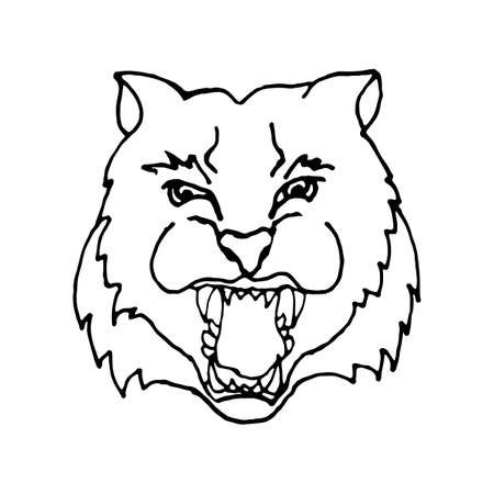 hand draw head screaming tiger with big teeth in black and white style, the design can be used coloring, tattoos, icons, banners, printing on bannersのイラスト素材
