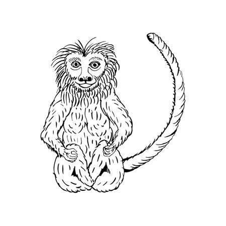 hand draw a monkey in the style of a sketch on a black white background, used for banners, flyers, coloring books, tattooのイラスト素材