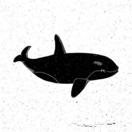 Hand drawn Whale in grunge style, can be used as a print on a t-shirt, textile, background, sign for store for fishing, tattoo, posterのイラスト素材