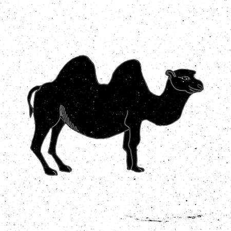 ラクダの写真 イラスト素材一覧 47 614件 ストックフォトのamanaimages Plus