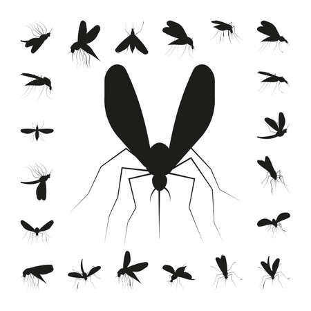 Set mosquito silhouette isolated on white backgroundのイラスト素材