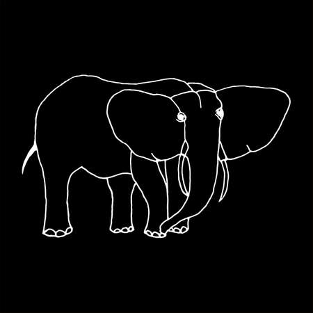 monochrome hand draw elephant.のイラスト素材