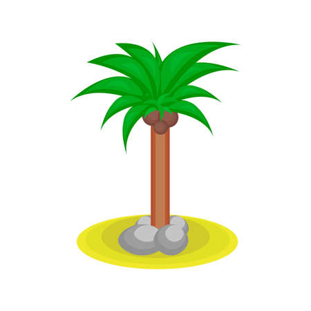 Cartoon palm tree with kakos on the on the island isolated on a white background.のイラスト素材