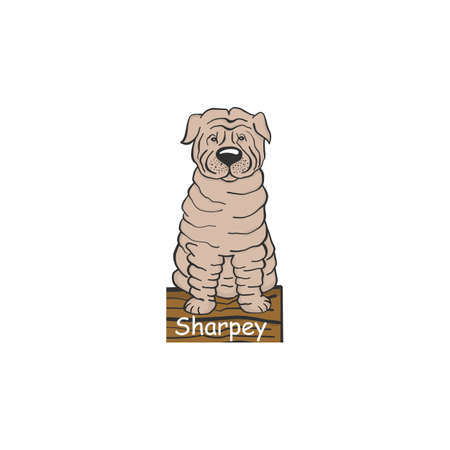 Shar-Pei cartoon dog icon isolated on white background.のイラスト素材