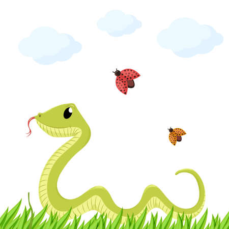 Cartoon cute green smiles snake vector animal illustration. Reptile iolated on white background.のイラスト素材