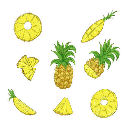 Pineapple, whole and sliced cartoon illustration setのイラスト素材