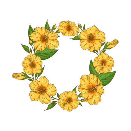 Hibiscus flowers wreath with leaves. Isolated on white background tropical flowersのイラスト素材