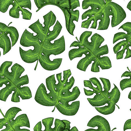 Tropical leaves seamless pattern. Vector exotic elements on the white background.のイラスト素材