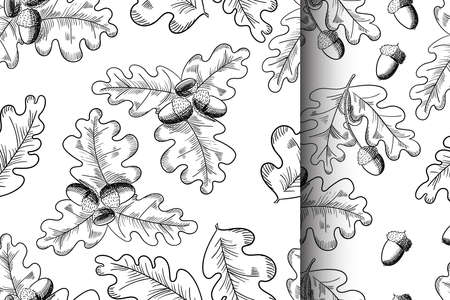 Vector oak leaf and acorn drawing seamless pattern set. Autumn elements.のイラスト素材