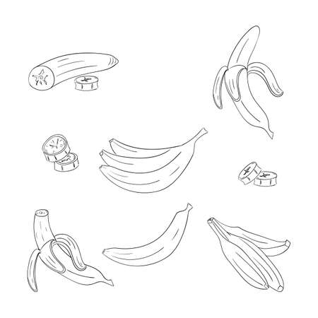 Banana single and bunch outline illustrations setのイラスト素材