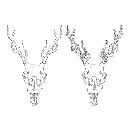 Deer skull with flowers. Vector element for tattoo sketch, printing on T-shirts.のイラスト素材