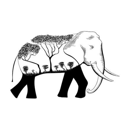Elephant design wild nature concept africa in full growth, moving forwardのイラスト素材