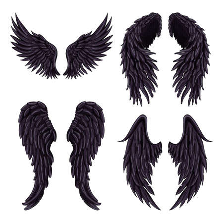 Heraldic wings set for tattoo or mascot design.のイラスト素材