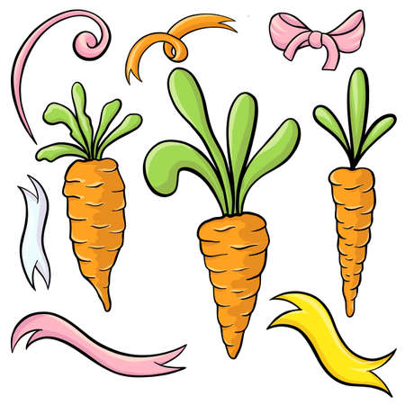 Beautiful cartoon Carrots set isolated on whiteの写真素材