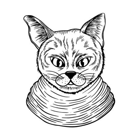 cat spotted striped head symmetrical sketch vector graphics black and white drawingのイラスト素材