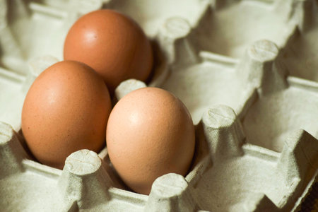 three cream-colored chicken eggs in a paper tray with nests for transport and sale