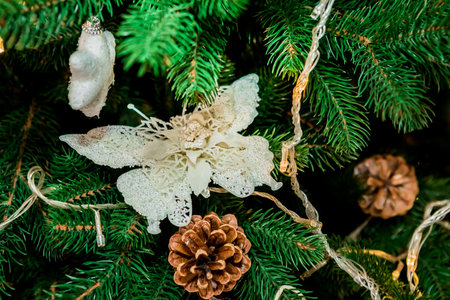 Christmas and New Year interior of a details or elements photo studio (3). Idea for holiday like Christmas and New year, for covers books, magazines, articles.の写真素材