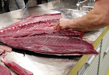 filleting of a red tuna in Italyの写真素材
