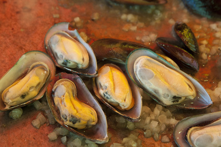 cozze in umidiの写真素材