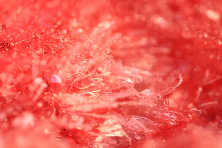 abstract red background blur color for design, line pattern, shiny texture of crystal ice with sparkle, wallpaper frosted snow close upの写真素材