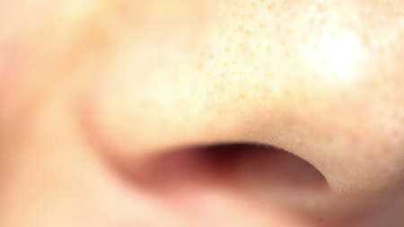 male nose breath extreme close up sense of smell, human anatomyの写真素材
