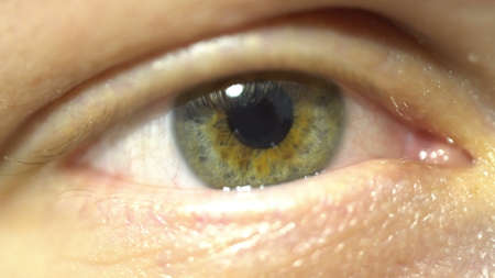 green eye extreme close-up of iris and pupil dilating and contracting. Very finely detailed human anatomy, blinkingの写真素材