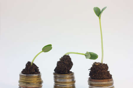Golden coins in soil ground with young plant. Money growth increase concept.の写真素材