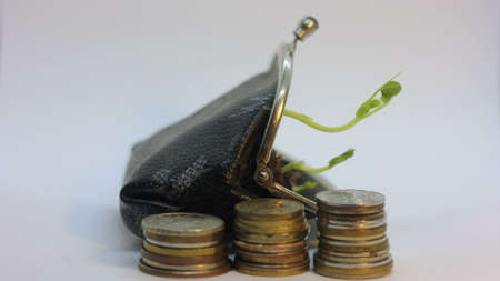 Plant growing from purse, money business finance bank growth concept, isolated on whiteの写真素材