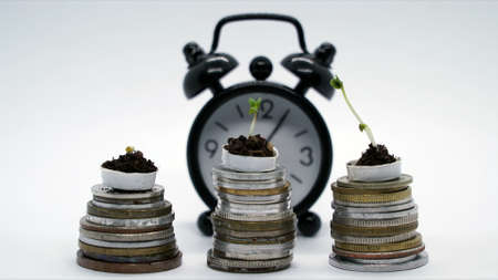 Time is money concept, plants growing on coins with clock on background, fast money grow, increase photoの写真素材