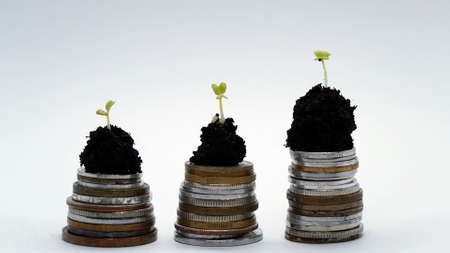 Golden coins in soil ground with young plant. Money growth increase concept. photoの写真素材