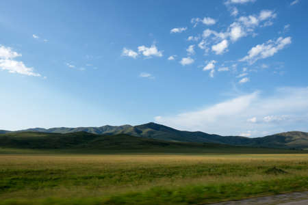 bright yellow sunflower field in Eastern Kazakhstan in summertimeの写真素材