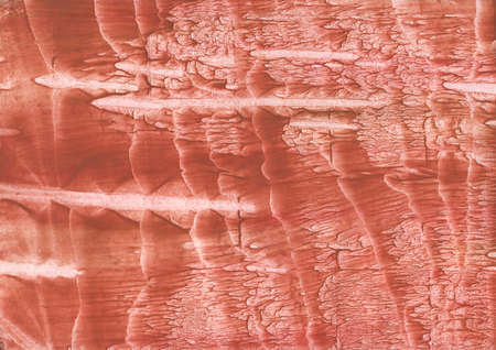 Colored watercolor work drawn on paper. Red-brown watercolor texture.の写真素材