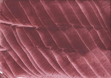 Streaked watercolor made on paper. Burgundy art.