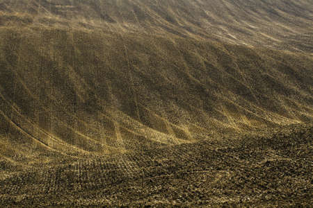 Undulating agricultural field after harvest of weak textured tracks tractor wheels