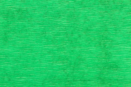 macro detail of green folded crepe paper in soft lightingの写真素材
