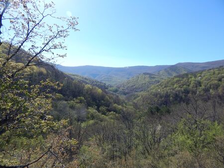 morning in the mountainsの写真素材